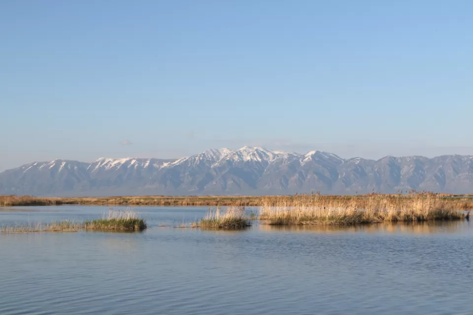Wasatch Mountains